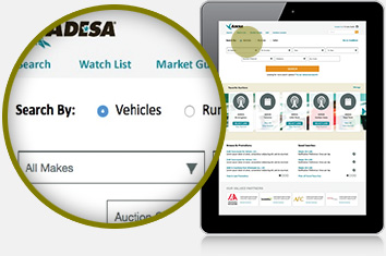 Image of search options on ADESA.com